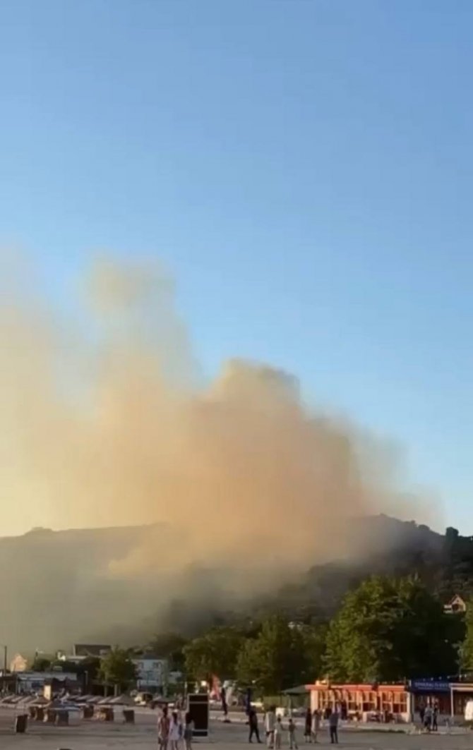 Bursa’da korkutan orman yangını