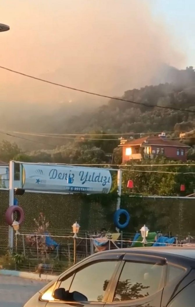 Bursa’da korkutan orman yangını