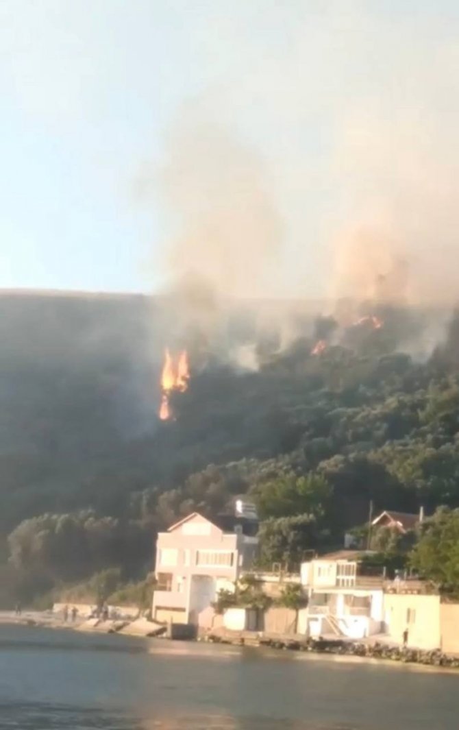 Bursa’da korkutan orman yangını