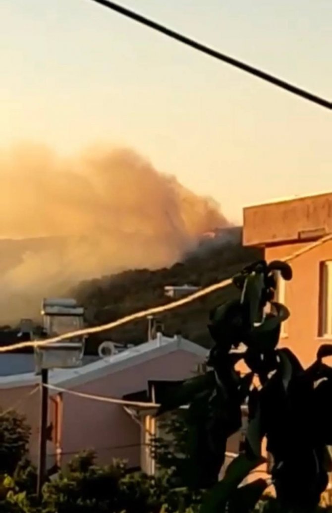 Bursa’da korkutan orman yangını