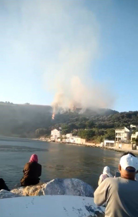 Bursa’da korkutan orman yangını