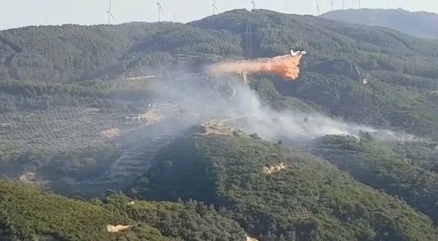 Çıkan orman yangınında 50 dönüm alan zarar gördü