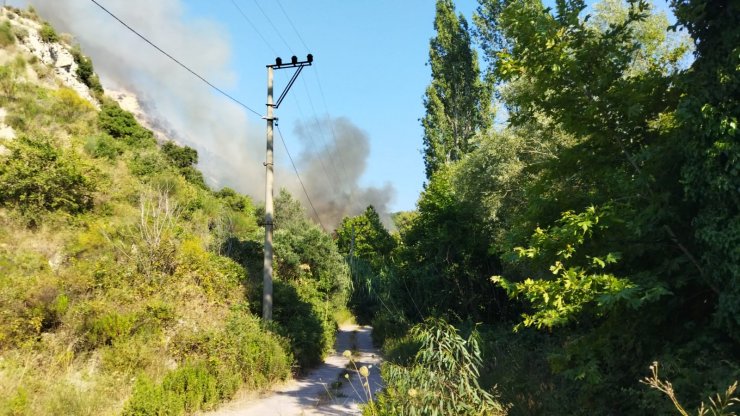 Çıkan orman yangınında 50 dönüm alan zarar gördü