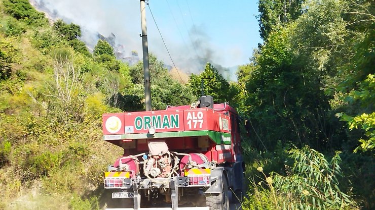 Çıkan orman yangınında 50 dönüm alan zarar gördü