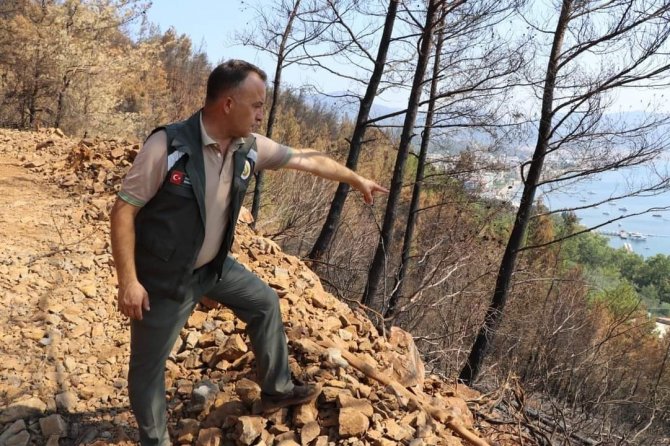 Görev şehidi Orman Muhafaza Memuru son yolcuğuna uğurlandı