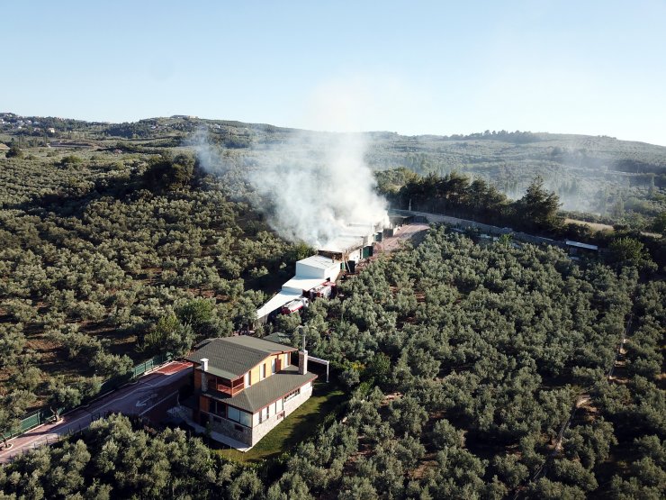 Hayvan çiftliğindeki yangında çok sayıda kanatlı ve küçükbaş hayvan öldü