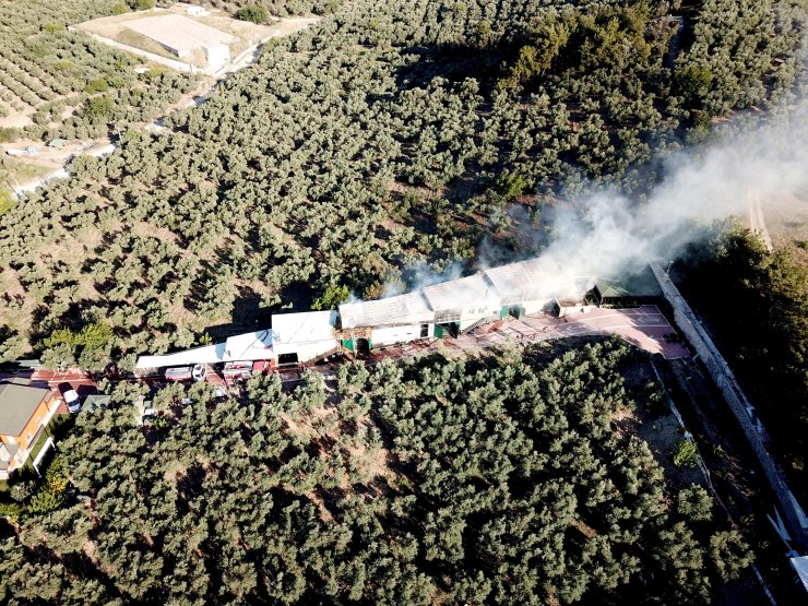 Hayvan çiftliğindeki yangında çok sayıda kanatlı ve küçükbaş hayvan öldü