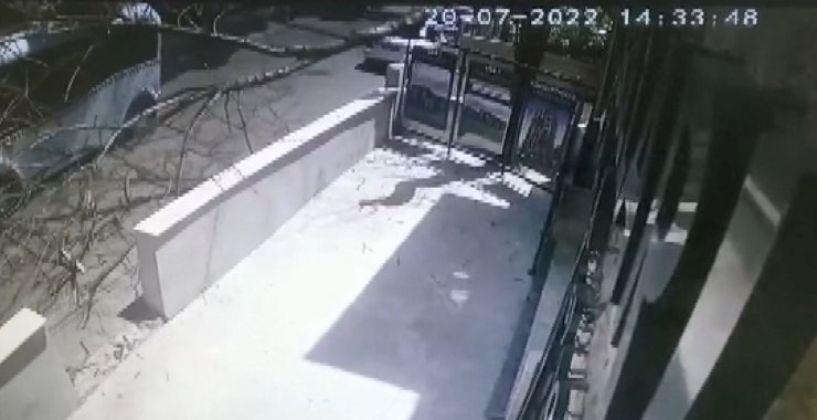 İçinde yolcuların olduğu minibüsün üstüne ağaç böyle devrildi