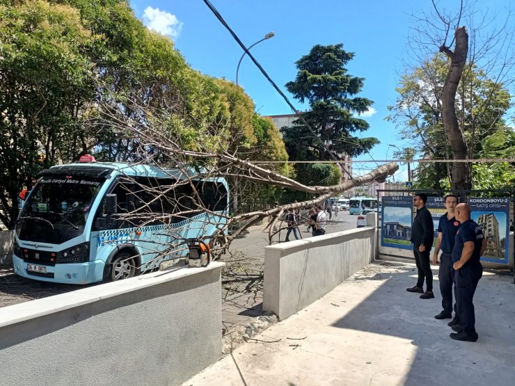 İçinde yolcuların olduğu minibüsün üstüne ağaç böyle devrildi