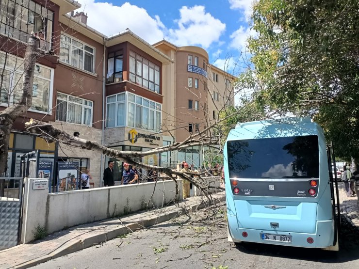 İçinde yolcuların olduğu minibüsün üstüne ağaç böyle devrildi