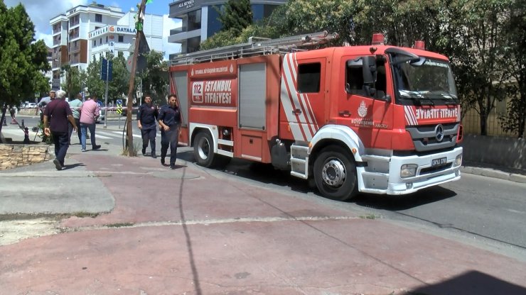 İçinde yolcuların olduğu minibüsün üstüne ağaç böyle devrildi