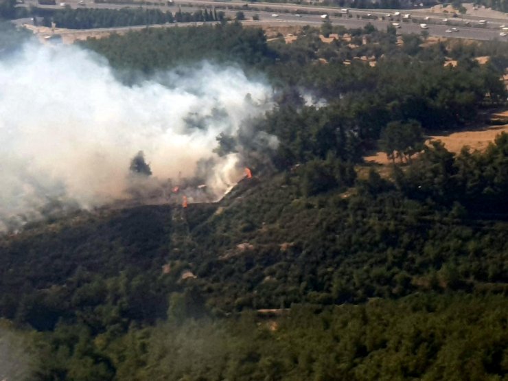 İzmir'de orman yangını