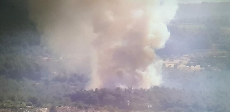 İzmir'de orman yangını