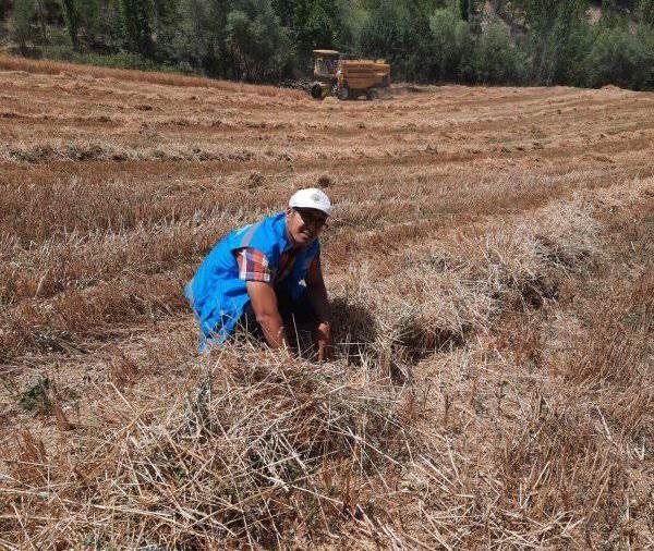 Şaphane’de biçerdöver operatörlerinin bilinçlendirilmesi için denetim ve eğitim çalışması