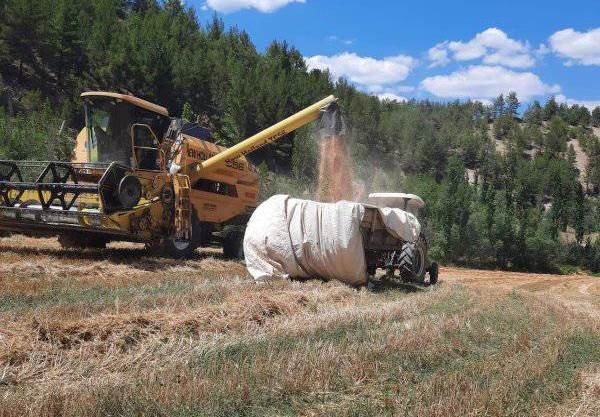 Şaphane’de biçerdöver operatörlerinin bilinçlendirilmesi için denetim ve eğitim çalışması
