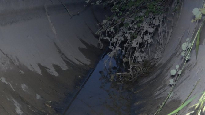 Sazlıkların arasında ölü bulunan Rafet’in cansız bedeni morga kaldırıldı