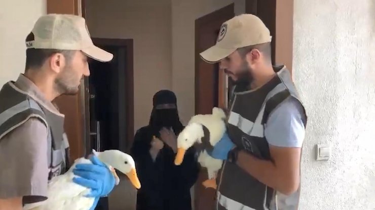 Tartışılan ördeklere İçişleri Bakanlığı sahip çıktı