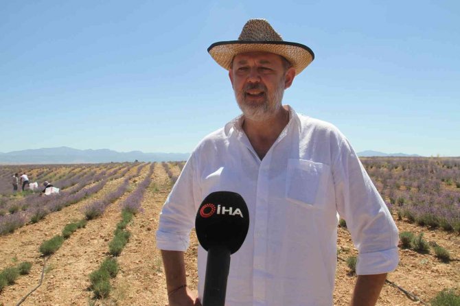 Taşlık ve kıraç alanı değerlendirip lavanta bahçesine dönüştürdü