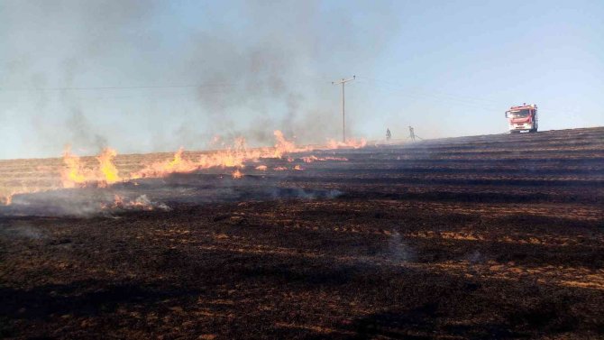 Elektrik tellerinden sıçrayan kıvılcım 100 dönüm anızı küle çevirdi