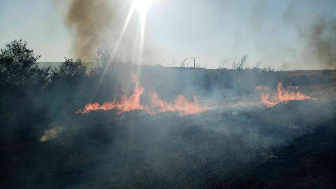 Elektrik tellerinden sıçrayan kıvılcım 100 dönüm anızı küle çevirdi