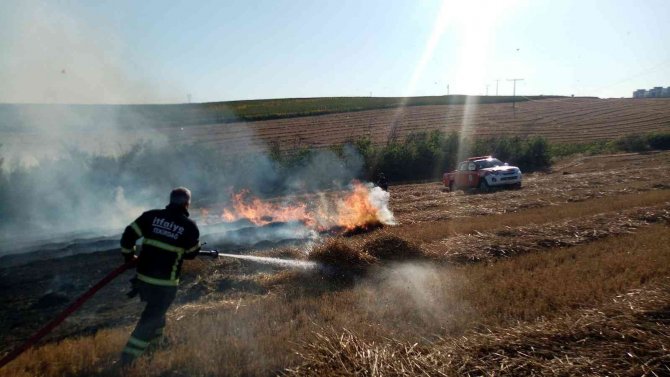 Elektrik tellerinden sıçrayan kıvılcım 100 dönüm anızı küle çevirdi