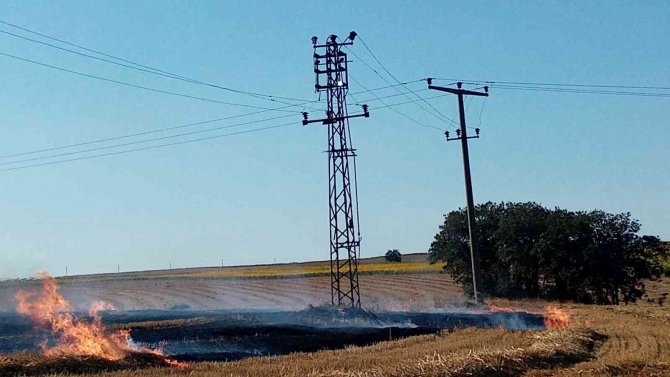 Elektrik tellerinden sıçrayan kıvılcım 100 dönüm anızı küle çevirdi