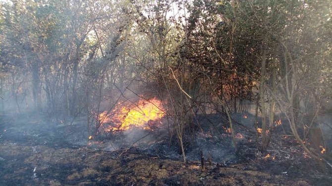 Elektrik tellerinden sıçrayan kıvılcım 100 dönüm anızı küle çevirdi