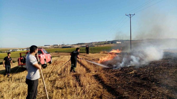 Elektrik tellerinden sıçrayan kıvılcım 100 dönüm anızı küle çevirdi