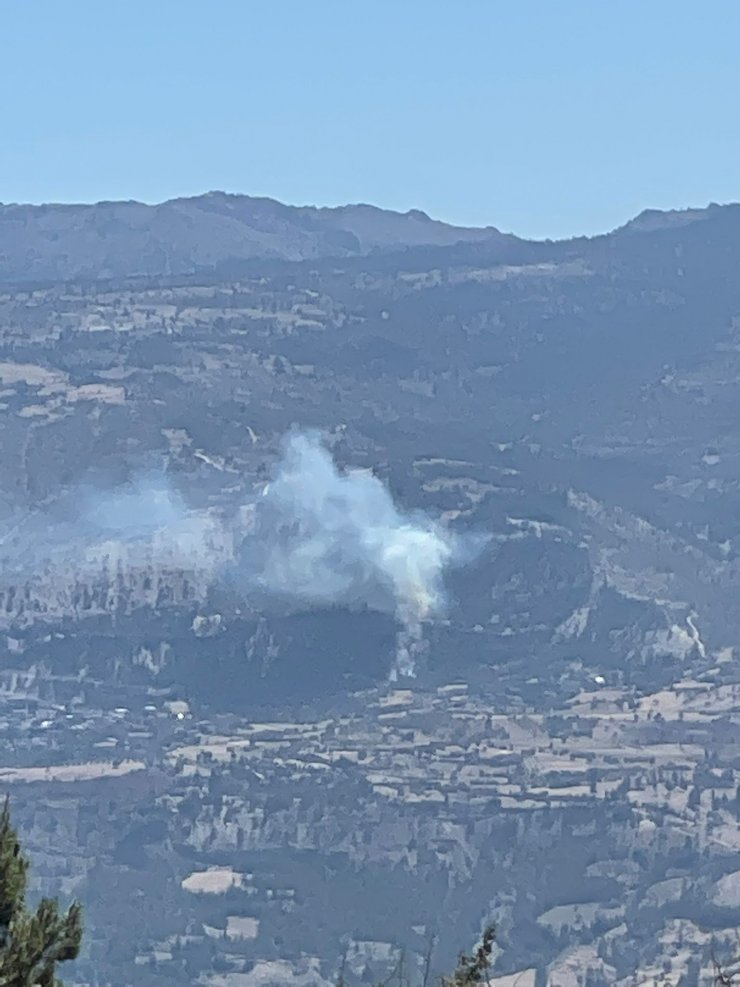 Ermenek'te orman yangını