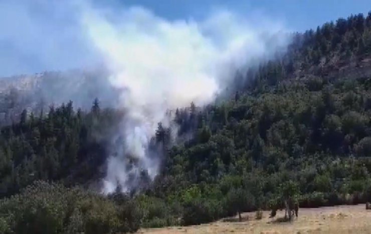 Ermenek'te orman yangını