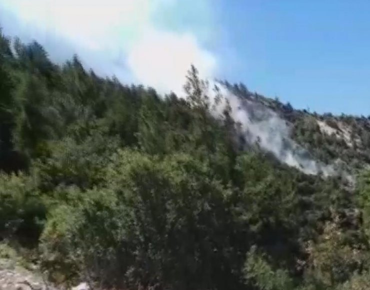 Ermenek'te orman yangını