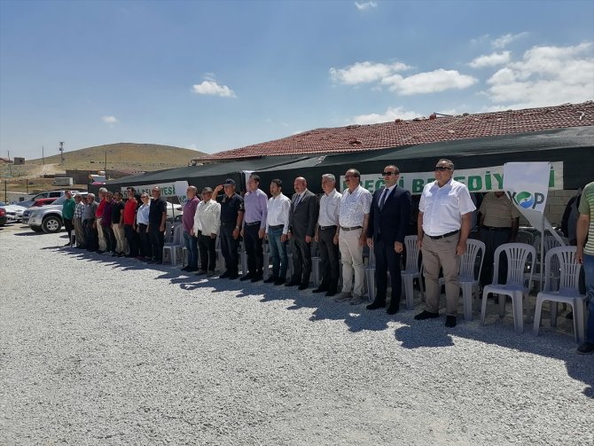 Konya'da mobil koyun banyosu ile koyunlar yıkanıp ilaçlanıyor