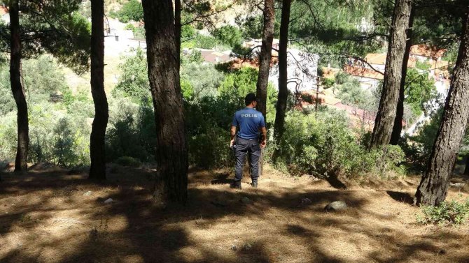 Muğla Emniyeti orman yangınlarına karşı teyakkuzda