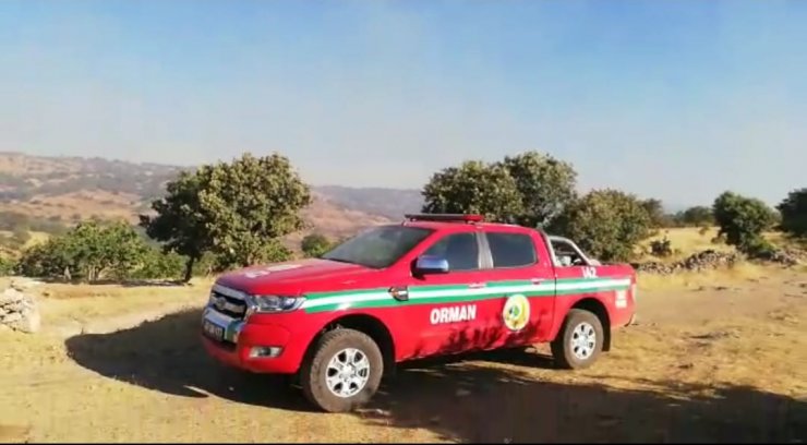 Nusaybin’de ormanlık alandaki yangın 6 saatte söndürüldü
