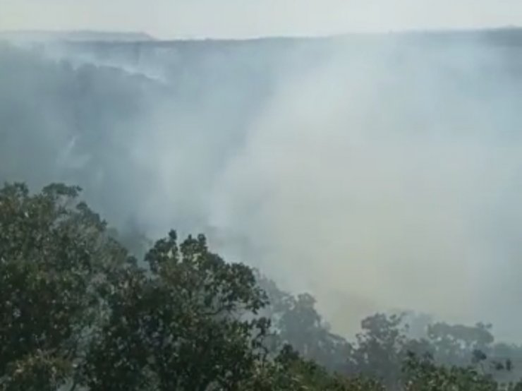 Nusaybin’de ormanlık alandaki yangın 6 saatte söndürüldü