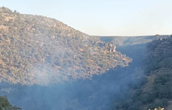 Nusaybin’de ormanlık alandaki yangın 6 saatte söndürüldü