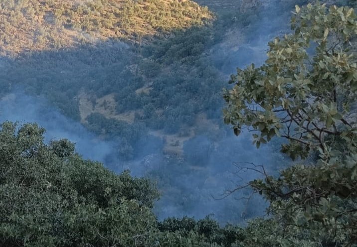 Nusaybin’de ormanlık alandaki yangın 6 saatte söndürüldü