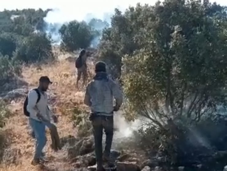 Nusaybin’de ormanlık alandaki yangın 6 saatte söndürüldü