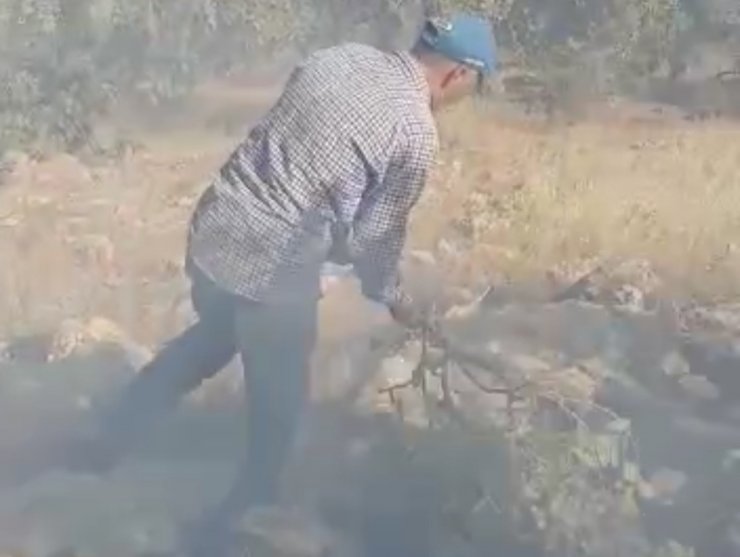 Nusaybin’de ormanlık alandaki yangın 6 saatte söndürüldü