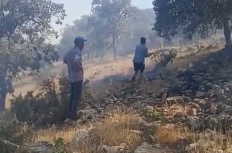 Nusaybin’de ormanlık alandaki yangın 6 saatte söndürüldü