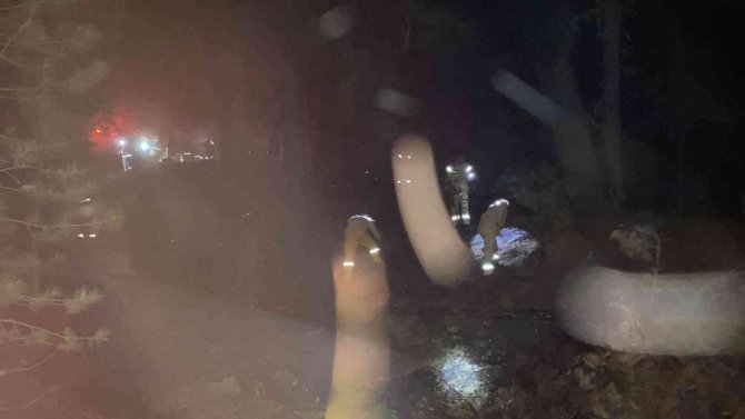 Orman yangını büyümeden söndürüldü