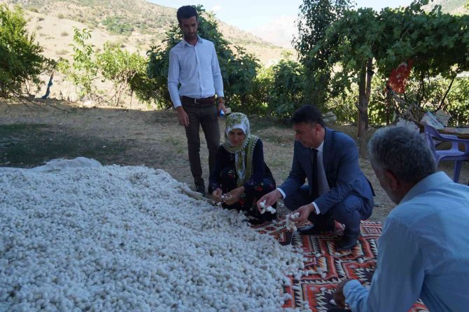 Sason’da ipek böceğinden bir ayda 1 milyon TL’lik kazanç sağlandı