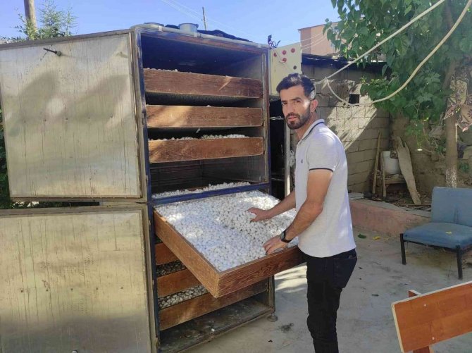 Sason’da ipek böceğinden bir ayda 1 milyon TL’lik kazanç sağlandı