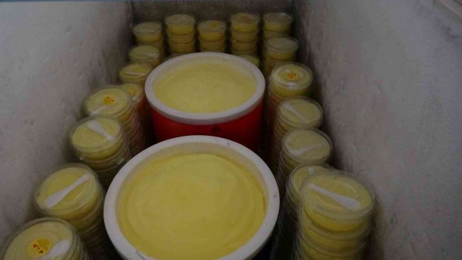 Sıcaklar arttı limon dondurmasında üretim katlandı