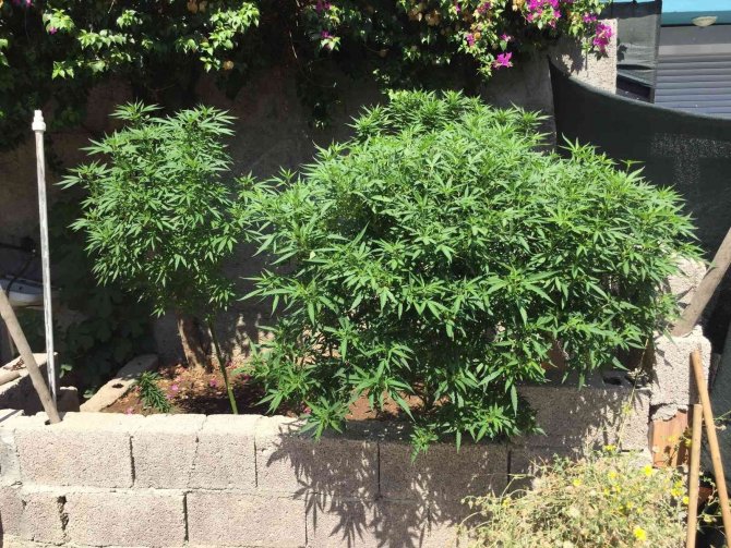 Adana'da torbacılara özel harekatlı uyuşturucu baskını