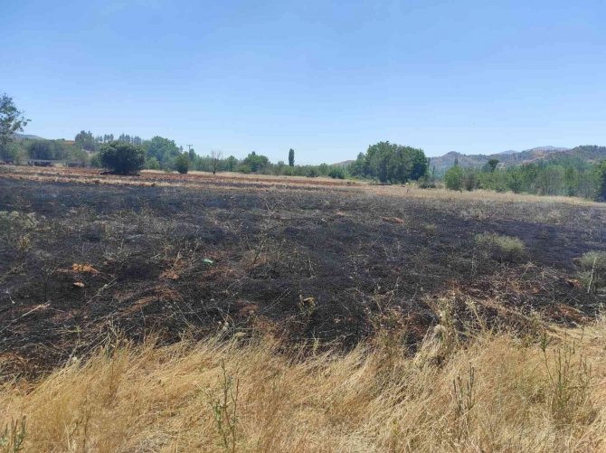 Anız yangını ekili araziye ulaşmadan söndürüldü