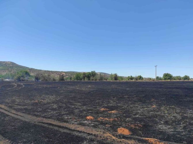 Anız yangını ekili araziye ulaşmadan söndürüldü
