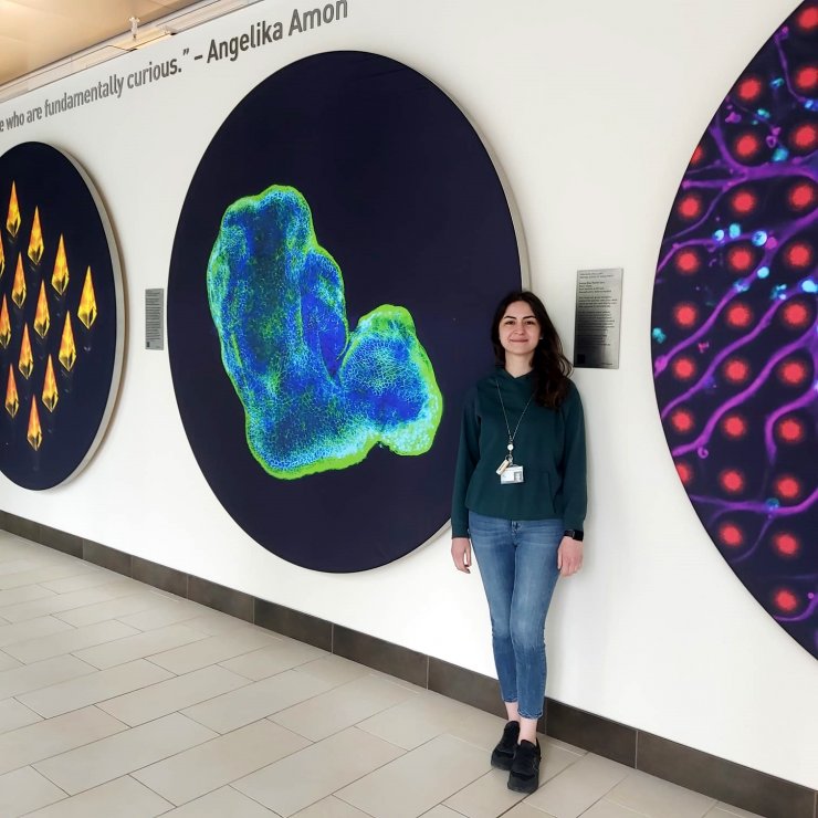 Anneden MIT'te doktora yapan kızına, 'tarhana bursu'