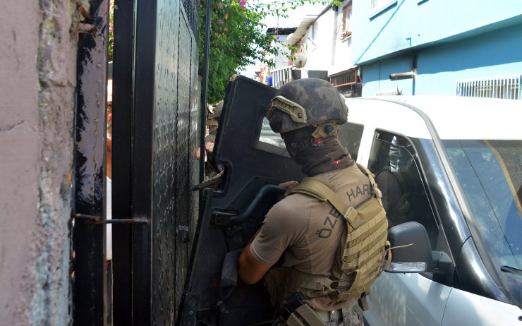 Bahçesine ektiği Hint kenevirini, Pitbull ile korumuş