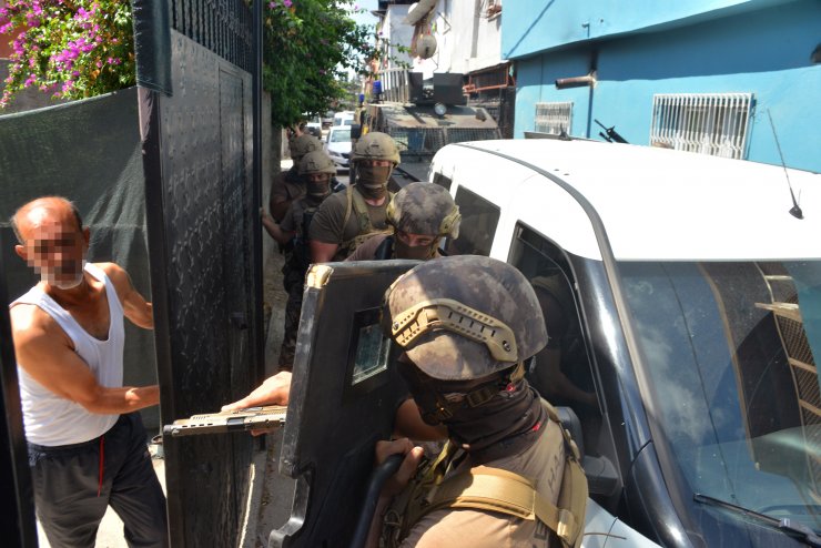 Bahçesine ektiği Hint kenevirini, Pitbull ile korumuş